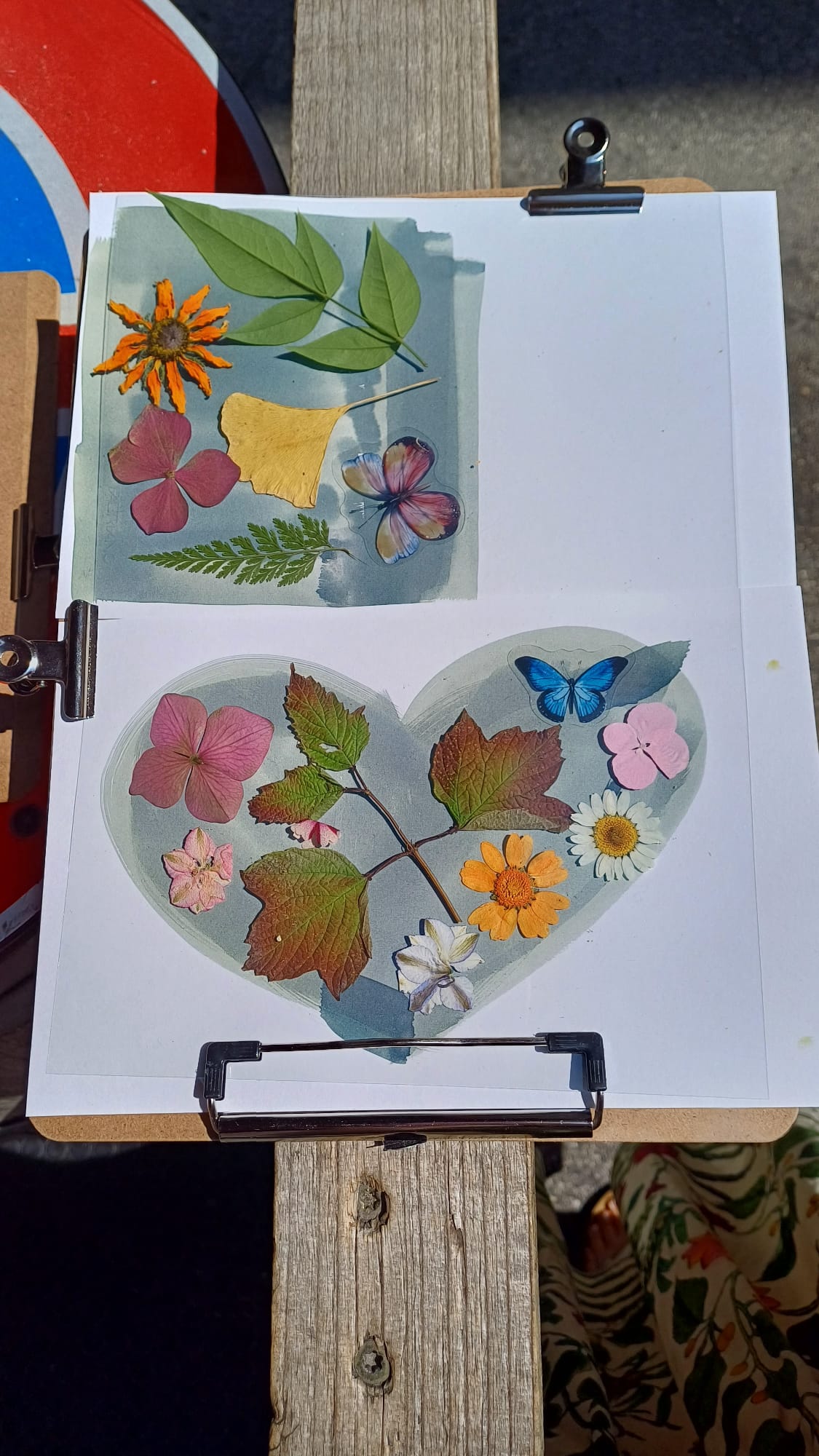 Disegnare con il sole: laboratorio di cianotipia per bambini - con Marcella Pirazzoli - immagine 2